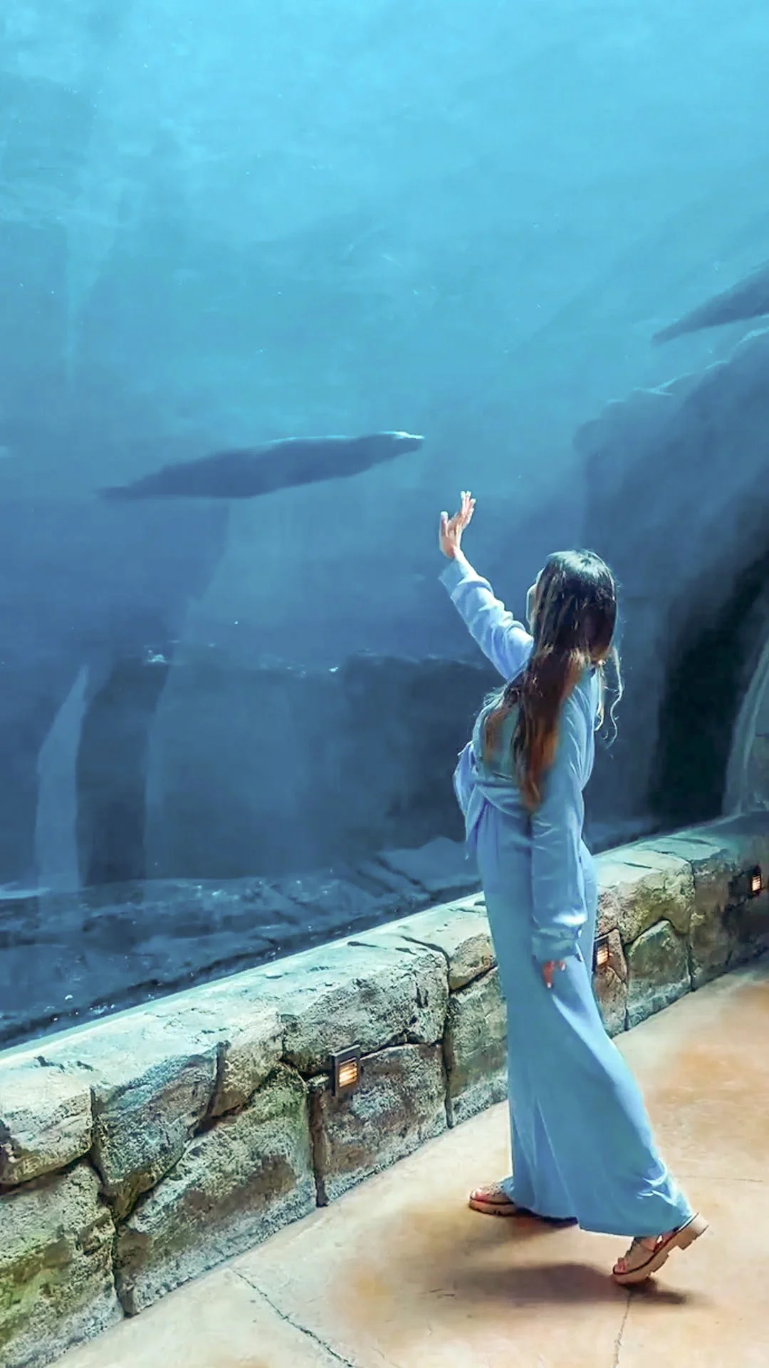 SeaWorld Abu Dhabi